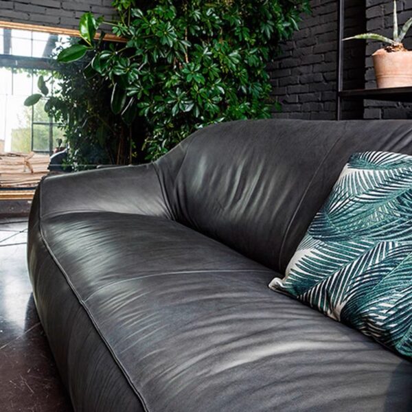 Contemporary Leather Sofa - Image 2