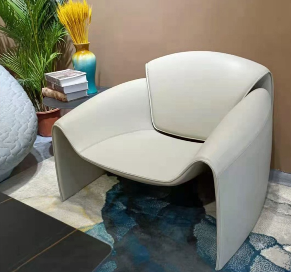 Designer Leisure Chair - Image 3